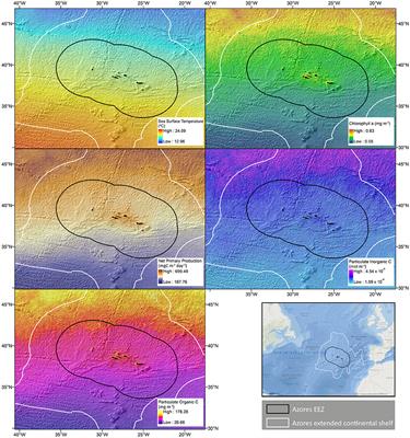 Overview of the Ocean Climatology and Its Variability in the Azores Region of the North Atlantic Including Environmental Characteristics at the Seabed